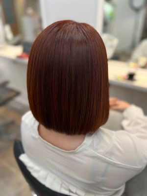 【銀座・新橋・有楽町】WISTERIA ANNEX 銀座