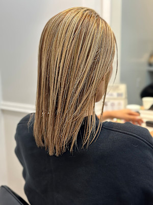 【銀座・新橋・有楽町】WISTERIA ANNEX 銀座