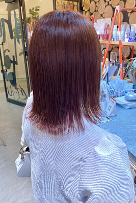 レッドカラー/暖色