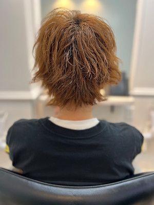 【銀座・新橋・有楽町】WISTERIA PLUS1 銀座一丁