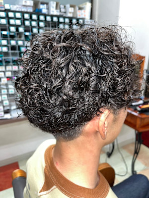 バンビの森×ショート