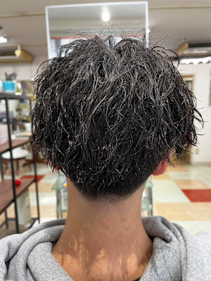 バンビの森×ショート