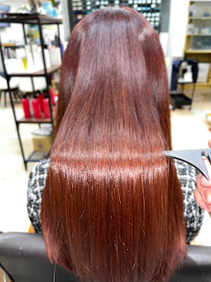 バンビの森×ロング