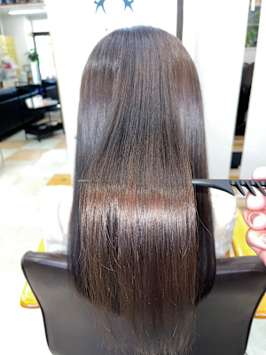 バンビの森×ロング