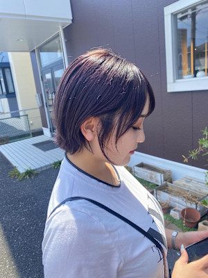 ラベンダーピンク