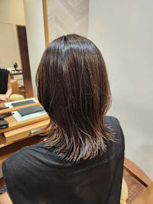 ミディアムウルフ