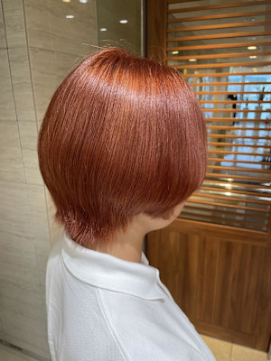 コーラルオレンジ×ショートウルフ/Kurumi