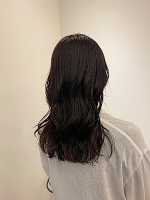 池袋/暖色カラー/カシスレッド/レッドブラウン