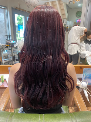 ボルドーカラー[調布/国領/オージュア]