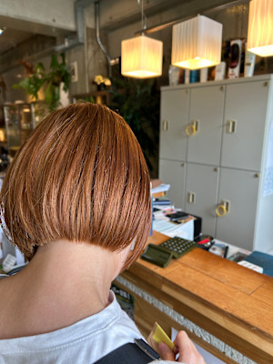 ハイトーンボブ