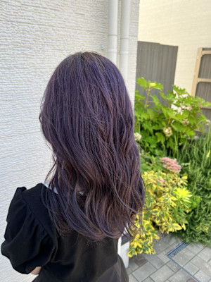 ラベンダーパープル