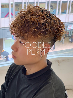 プードルパーマ