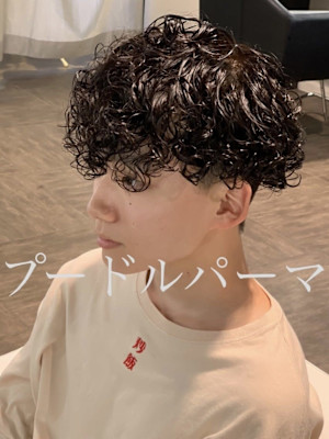 プードルパーマ