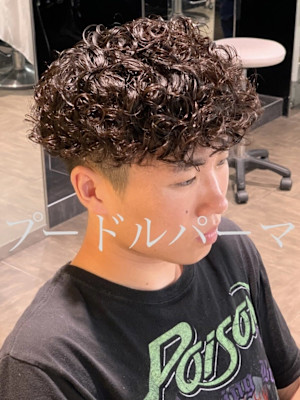 プードルパーマ