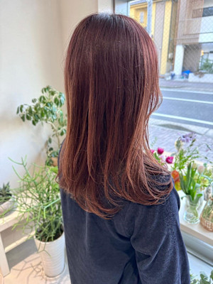 《花屋併設》コーラルブラウン　