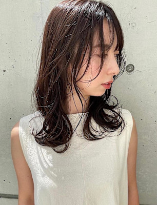 フェミニミディ