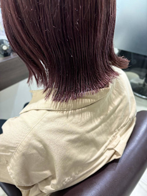 ピンクラベンダー