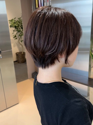 short ×  sheer color