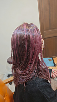 デザインカラー