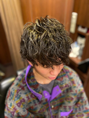 ウルフツイスパ