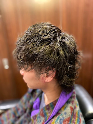 ウルフツイスパ