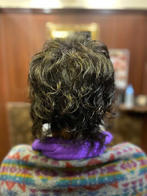 ウルフツイスパ