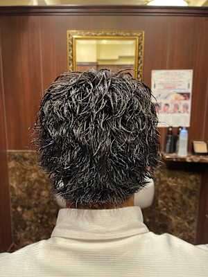 ソフトツイストショートウルフ