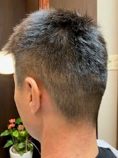 ビジネスベリーショート