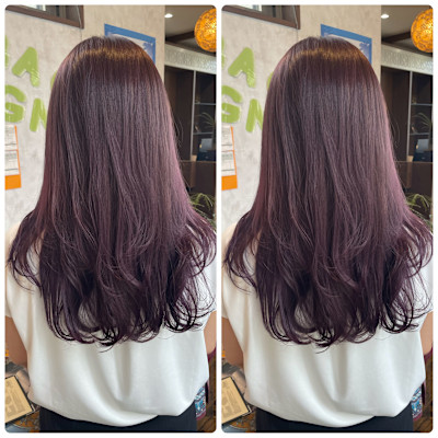 ブリーチなしバイオレット