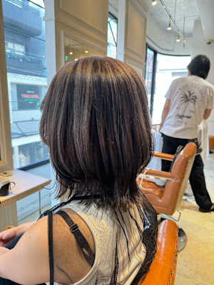 アンブレラパープル