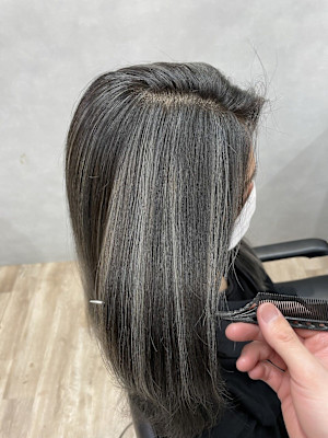 G シルバーハイライト