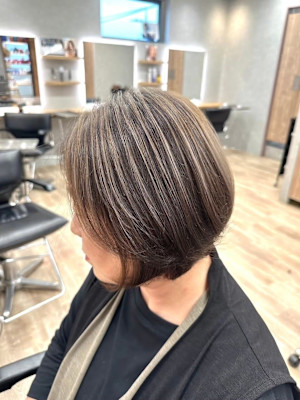 ハイライト/白髪ぼかし/ホワイト/シルバー/白髪ぼかしハイラ