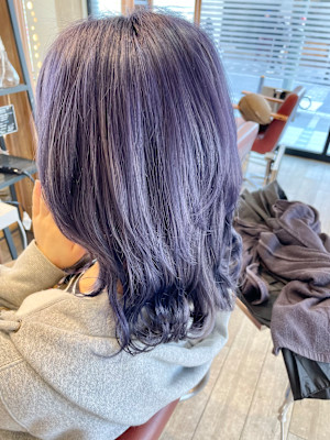 パープルカラー