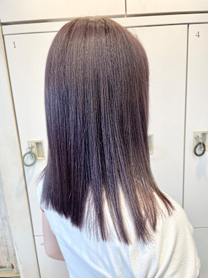 パープルカラー