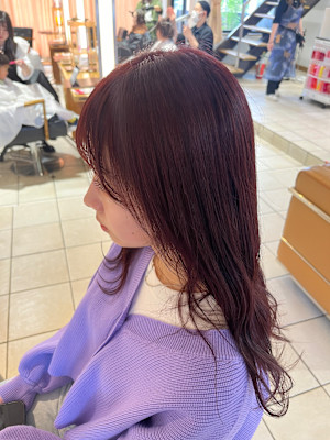 カシス（ブリーチなしダブルカラー）