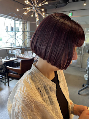 ボルドールビー/ボブ/ミニボブ