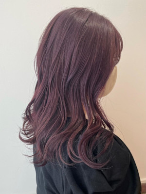 浅草　韓国風レイヤー　ラベンダー　20代30代40代