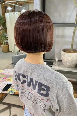 レッドブラウン/ショートボブ