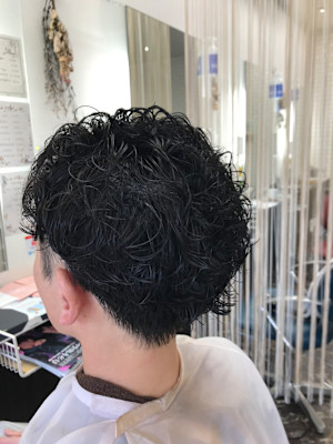 クリクリ×ショート