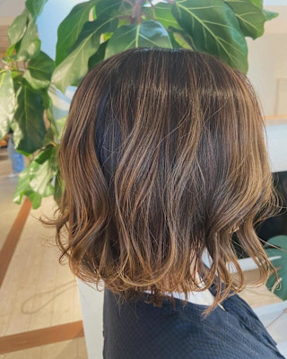 ハイライト/20代30代/姪浜