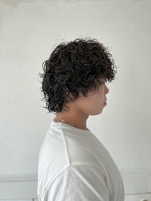 プードルパーマ