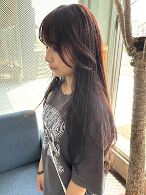 ロングヘアボルドー