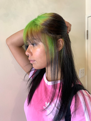 セクションカラー