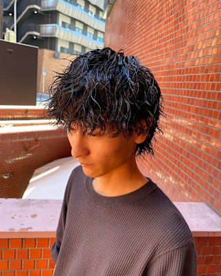 【ツイスパウルフ】