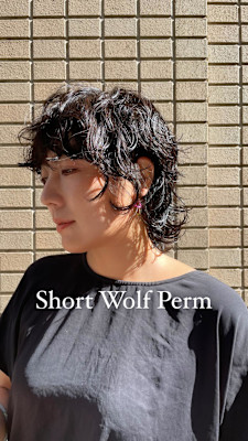 外国人風パーマ/レイヤーパーマ/プードルパーマ