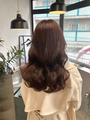 上品さ◎チョコレートブラウン【高田馬場　lok】