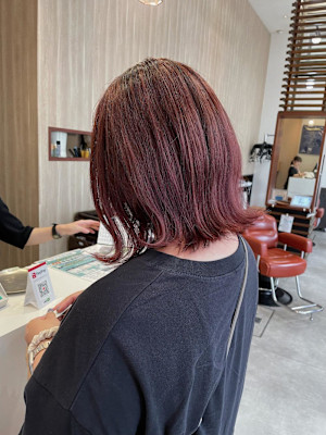 【秋レッドブラウン/佐藤杏丸】