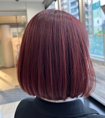 カシスレッドがきれいに見えるボブスタイル