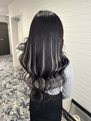 シルバーハイライト