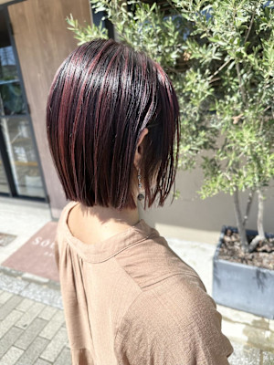 ボブ　ハイライト　半個室　ボルドールビー